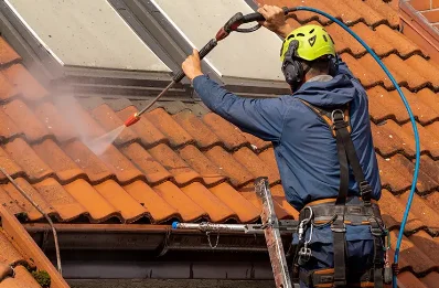 Démoussage et hydrofuge de toiture à Pavilly